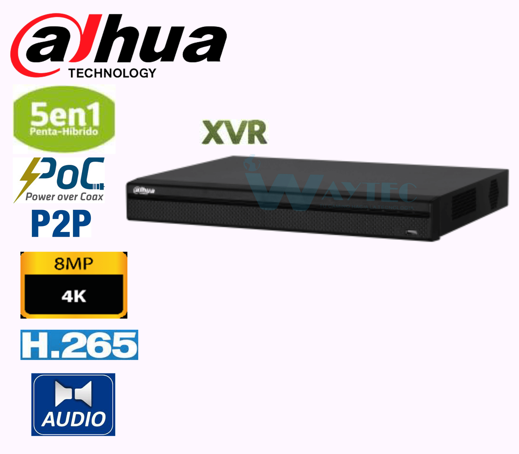 PLANTILLA 4K (3)