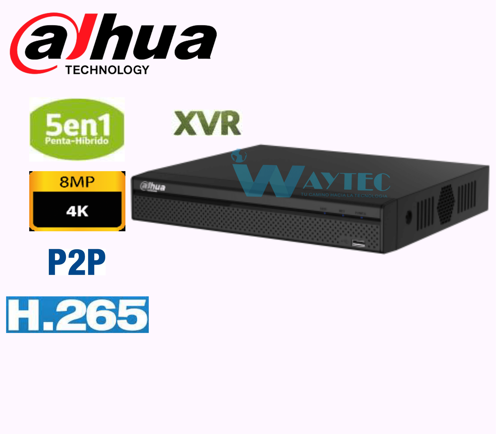 PLANTILLA 4K (6)