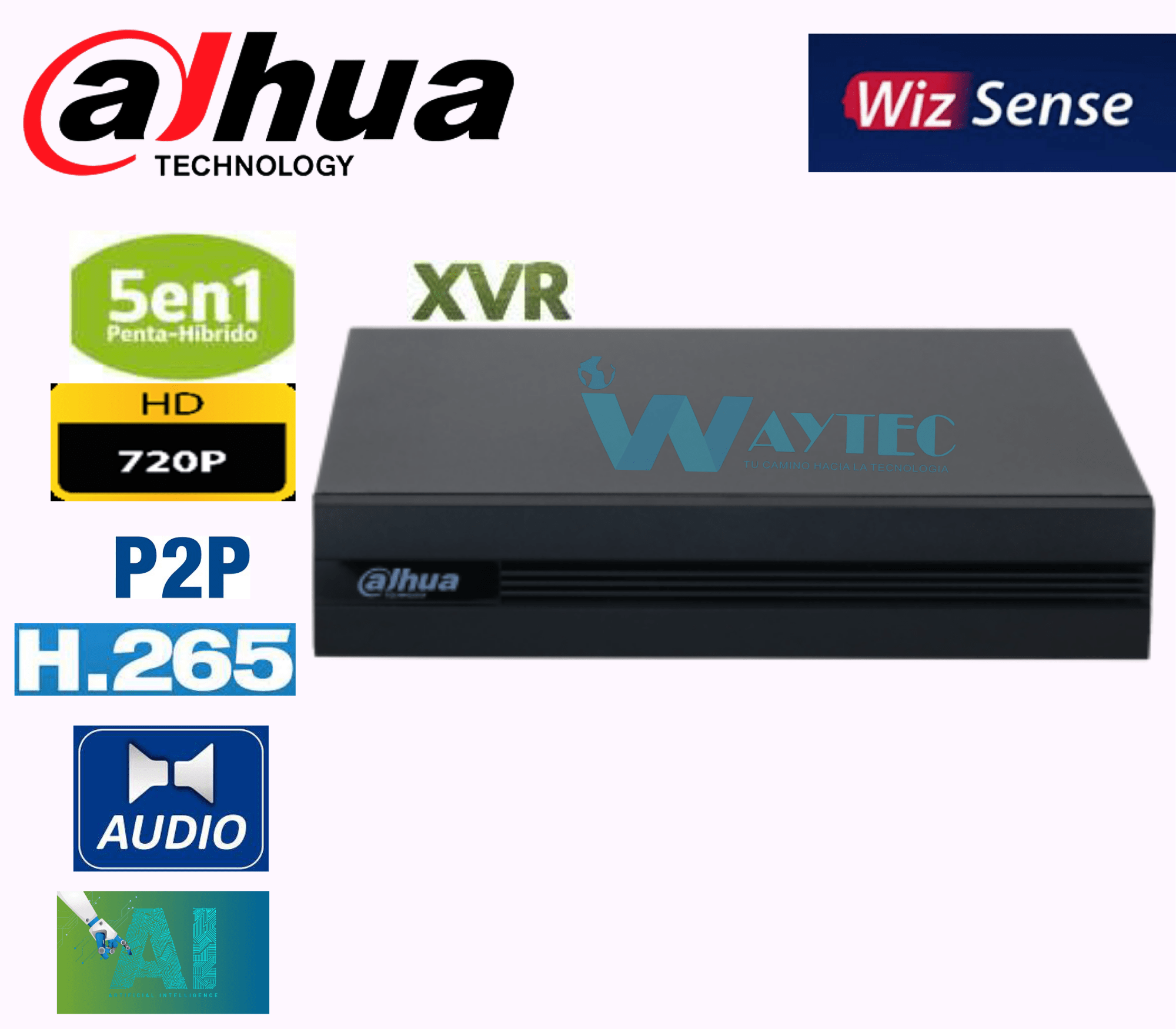 PLANTILLA 4K (8)