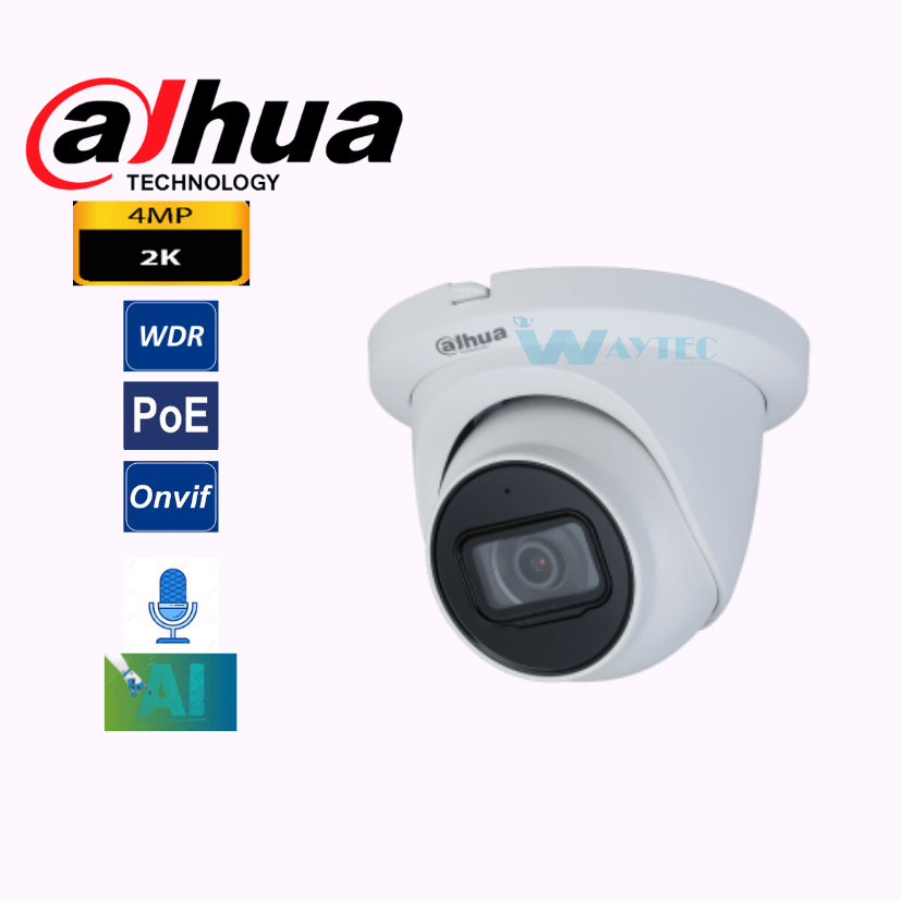 camara 81